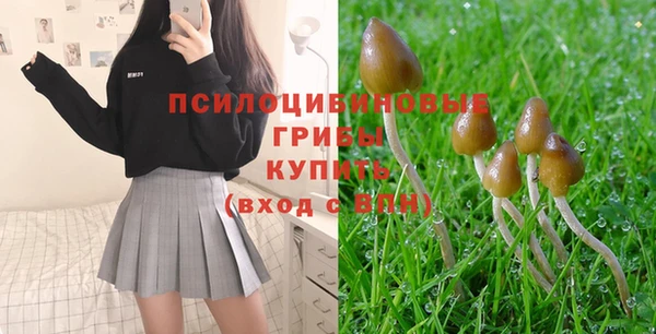не бодяженный Коряжма
