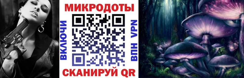 Купить закладки  Руза  Галлюциногенные грибы мицелий 